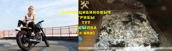 а пвп мука Аркадак