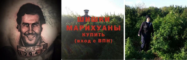 прущие грибы Арсеньев