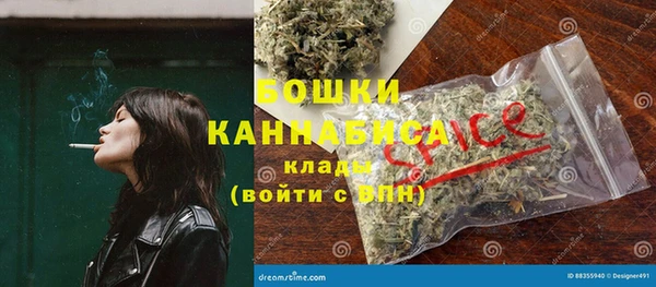 прущие грибы Арсеньев