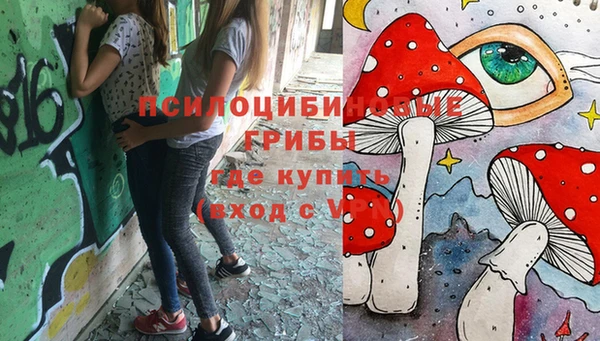 прущие грибы Арсеньев