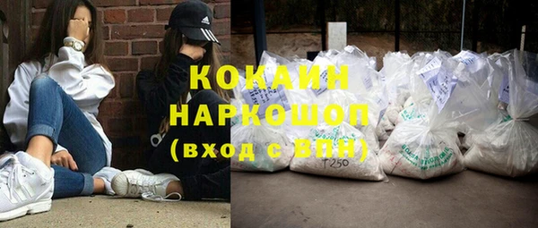 прущие грибы Арсеньев